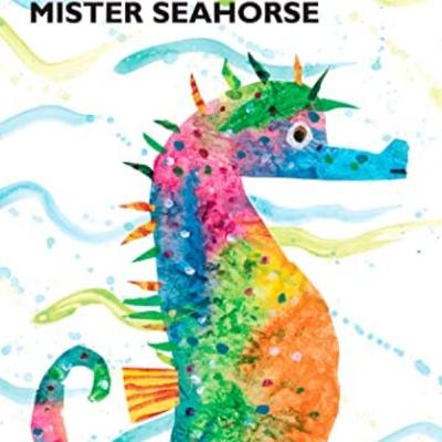 Mister Seahorse