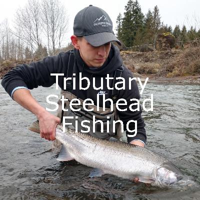 Bank Fishing for Steelhead & Small River Tactics w/ Shane Holmgren