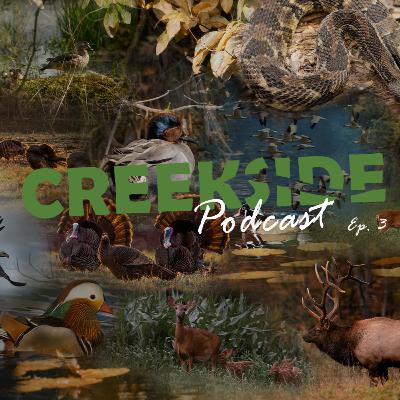 Ep. 3 Talkin Turkeys