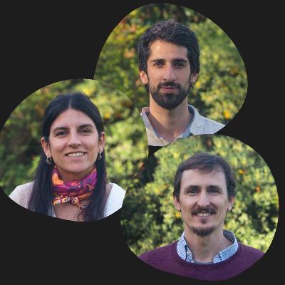 "INTELIGENCIA VINCULAR" - con Juan Mosquera, Sofía Lattes y Tomás Ciminari