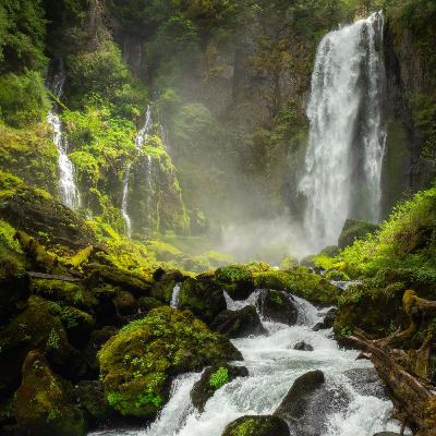 Wellsprings Unleashed!