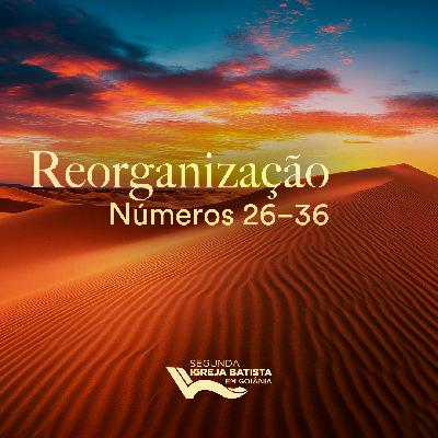 Reorganização