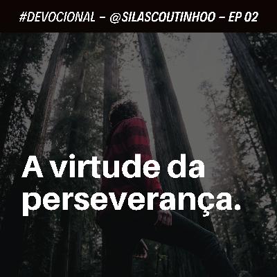 #DVCL 02 - A VIRTUDE DA PERSEVERANÇA.