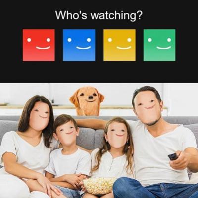 הגיקלופדיה המשודרת - למה נטפליקס? למה????