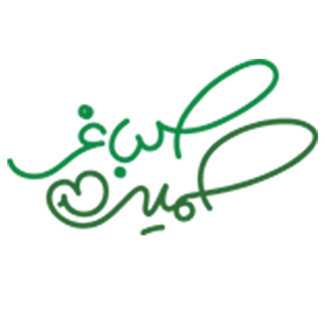بازاریابی با حمید صباغی