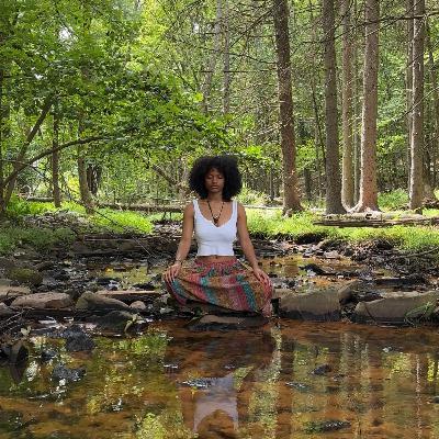 Navigating Turmoil: Resilience in Creation