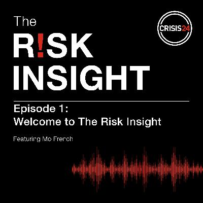 Welcome to The Risk Insight