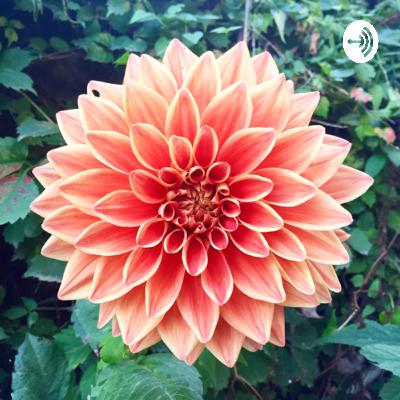 The Practicality of Non-Existence