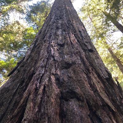 S6E3: Ken's Western US Roadtrip - Pacific Coast