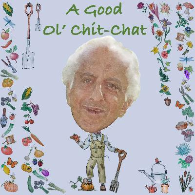 Ep46: A Good Ol' Chit-Chat With... Rajat Jindal