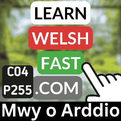 c04p255 (s04e255) - Mwy O Arddio (More Gardening) c04p255 (s04e255) - Mwy O Arddio (More Gardening)
