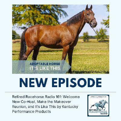 Welcome New Co-Host, Make the Makeover Reunion, and It's Like This by Kentucky Performance Products
