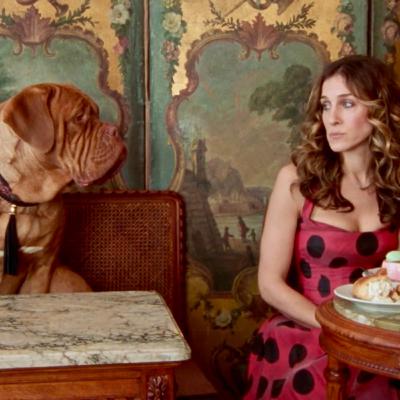 "An American Girl in Paris (Part Deux)" Sex and the City (S6, E20) Carrie is "the one!"