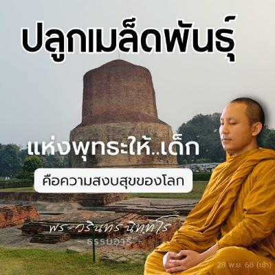 ปลูกเมล็ดพันธุ์แห่งพุทธะให้..เด็ก คือความสงบสุขของโลก | พระวรินทร นิททโร | 28 พ.ย. 68 (ค่ำ) ปลูกเมล็ดพันธุ์แห่งพุทธะให้..เด็ก คือความสงบสุขของโลก | พระวรินทร นิททโร | 28 พ.ย. 68 (ค่ำ)