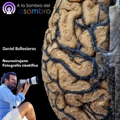 02 | Detrás del Cerebro: Un Neurocirujano Entre Fotografías Científicas | Daniel Ballesteros