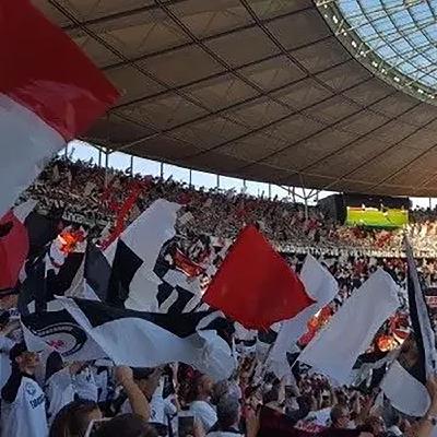 XVIII: Body Next to Body. Gathering Masses in Sport Events (Z. Blace, Caitlin Davis Fisher, Michael Gabriel & Florian Malzacher)