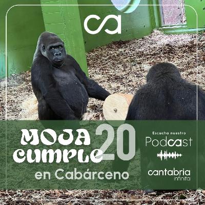 Moja, una superestrella en Cabárceno