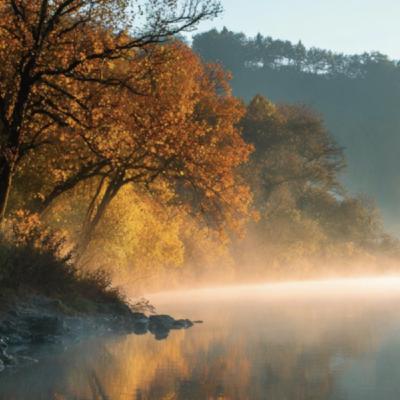 Episode 272: True Joy: Gratitude for Life Episode 272: True Joy: Gratitude for Life