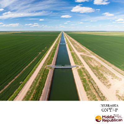 Irrigation Insights: Navigating Surface Diversion and Canal Systems