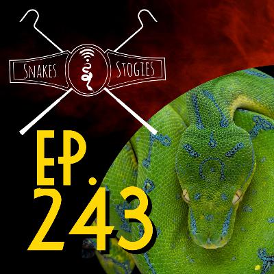 Daytona Pre-Show & Reptile Show Bingo | Snakes & Stogies Ep. 243