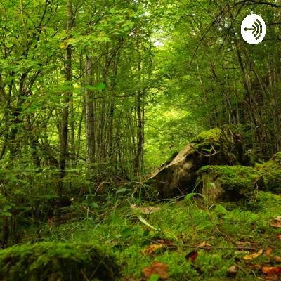 In the Large Forest - Season 2 Coming!!