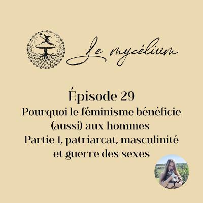 29 - Le féminisme et les hommes. P. 1. Patriarcat, masculinité et guerre des sexes