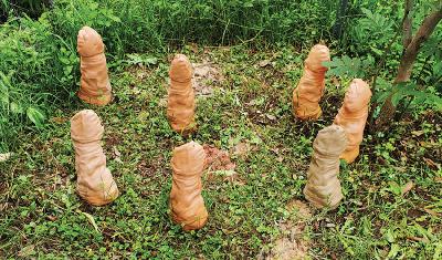 Firing the Phalluses: Rites of Passage in May Okafor’s Royal Gorgeousness Firing the Phalluses: Rites of Passage in May Okafor’s Royal Gorgeousness