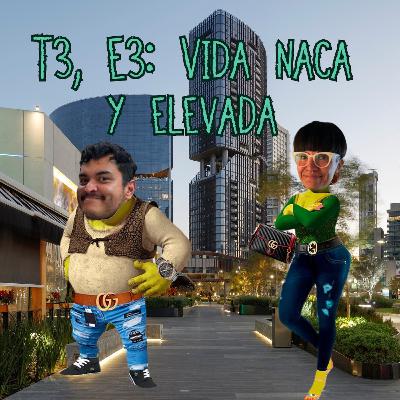 T3 E3. Elevadas y nacas