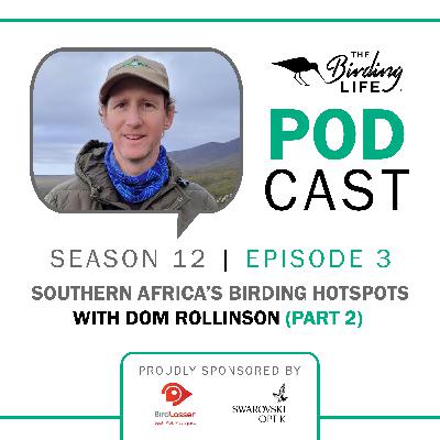 TBL Podcast Season 12 Episode 3 - Southern Africa’s Birding Hotspots with Dom Rollinson (Part 2)