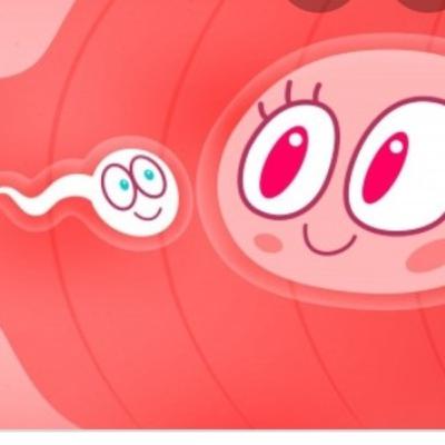 Las Moluscas.Cap.4 : .Rosa y celeste.Dicotomía marketinera para una cuestión genético-ambiental
