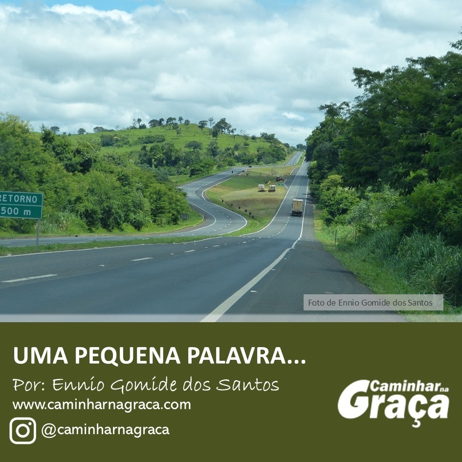 Amadurecer para ser oferta Amadurecer para ser oferta