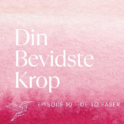 Episode 10: De to faser