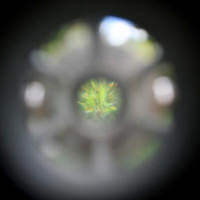 S4E4: Everything for Everyone