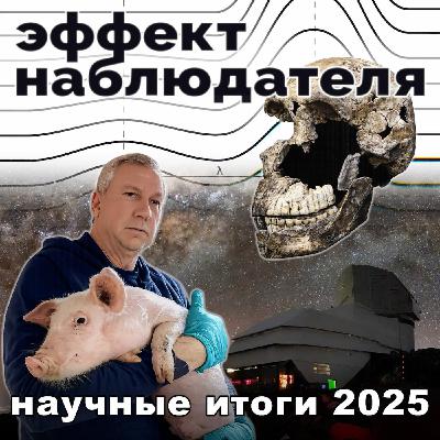 Научные итоги 2025
