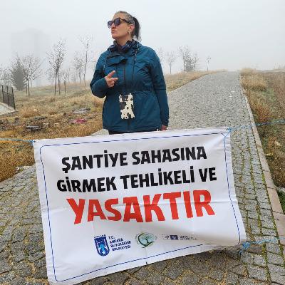 Türkçe11: Kimsenin Sormadığı Hikayeler (Program Konuğu: Neslihan Ülkü Baş)