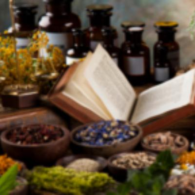 Sezónny receptár - Jesenné bylinky - chren dedinský, topinambur, pivonka lekárska Sezónny receptár - Jesenné bylinky - chren dedinský, topinambur, pivonka lekárska