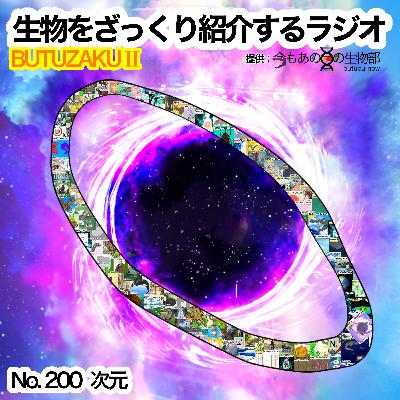 第100話：⭐️⏹️最終章Ⅲ「次元」をざっくり紹介