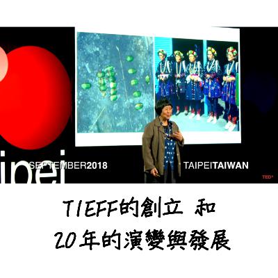 專題：TIEFF的創立和20年的演變與發展