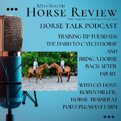 New Year and New Season with Training Tips Tuesday