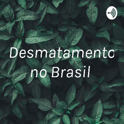 Desmatamento no Brasil