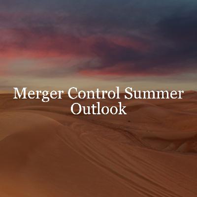 Merger Control Summer Outlook // AFIG