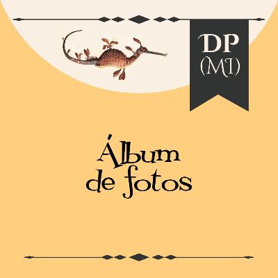 18. Álbum de fotos 18. Álbum de fotos