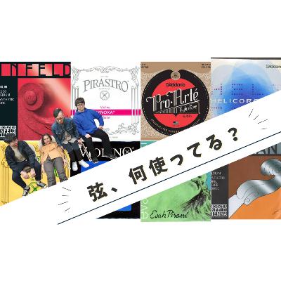 安い弦と高い弦、買ってみたけどぶっちゃけ違いは...【弦楽サボり部屋8-1】