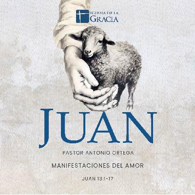 Manifestaciones del amor