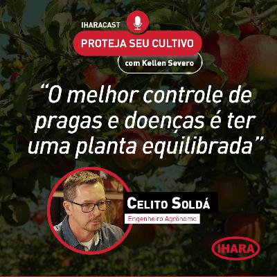 #41 - Desafios para produção mais uniforme na cultura da maçã