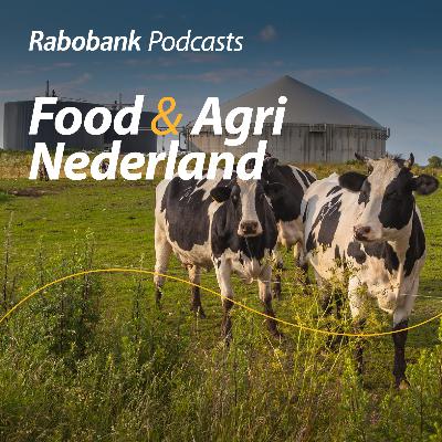 Monomestvergisting: Groen gas uit mest heeft perspectief