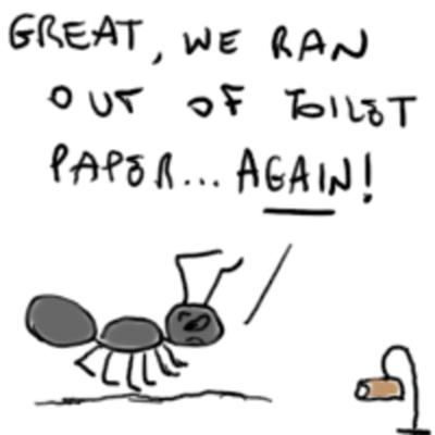 anche le formiche nel loro piccolo hanno le toilette