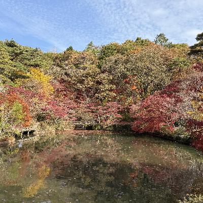 【特別回】秋の森林植物園