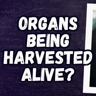 Organ Harvesting: How Scarcity Turned Into a Billion-Dollar Machine 🍸 Cocktails & Conspiracies 179
