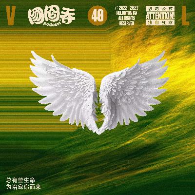 养宠大起底，总有些生命为治愈你而来